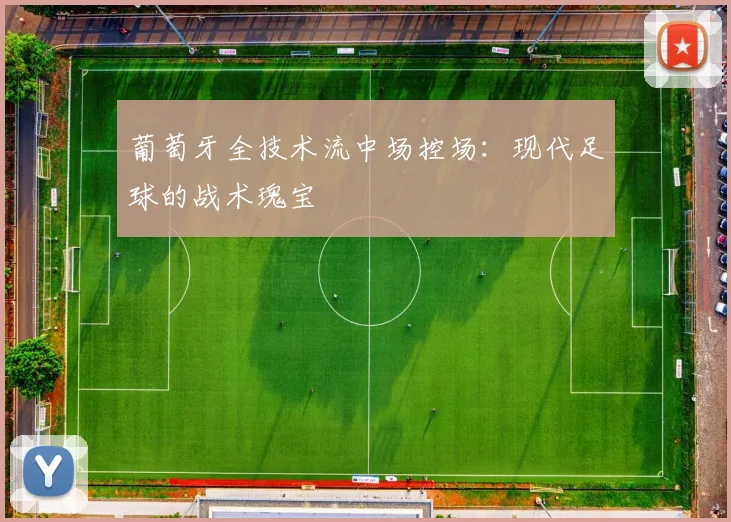 葡萄牙全技术流中场控场：现代足球的战术瑰宝