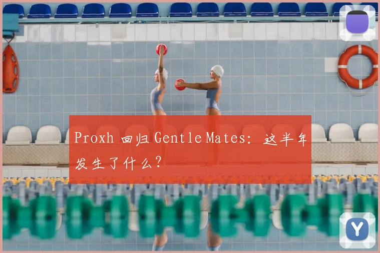 Proxh 回归 Gentle Mates：这半年发生了什么？