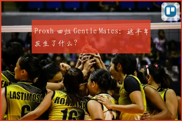 Proxh 回归 Gentle Mates：这半年发生了什么？